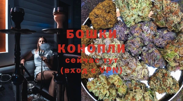 крисы Ельня