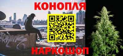 трава Бийск
