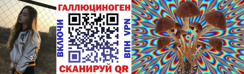 где можно купить   сайты даркнета Telegram  Псилоцибиновые грибы Magic Shrooms  Курчатов 