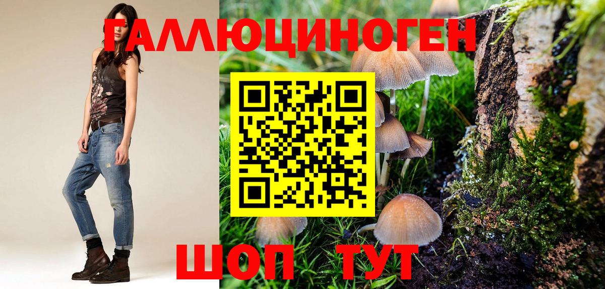 Псилоцибиновые грибы Psilocybine cubensis  Вход с VPN  Курчатов 